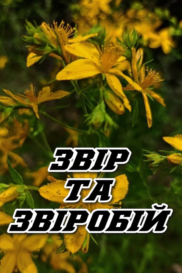 Звір та звіробій
