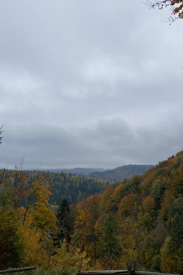 Помаранчева Осінь