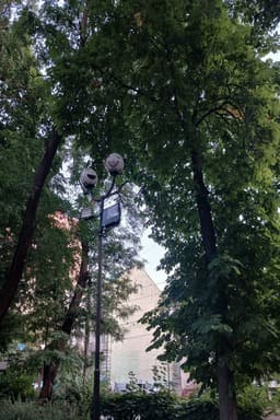 Клара і кривдники